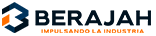 berajah.axiomvisualllc.com